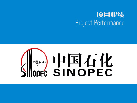 揚(yáng)子石化EVA裝置壓縮單元位移VE-12501等